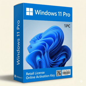 Windows 11 Professional Lifetime Retail Key